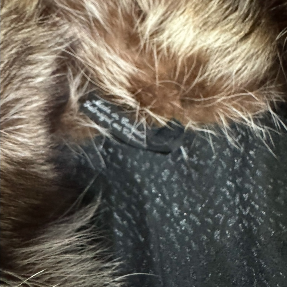Fur - Picture 5 of 8